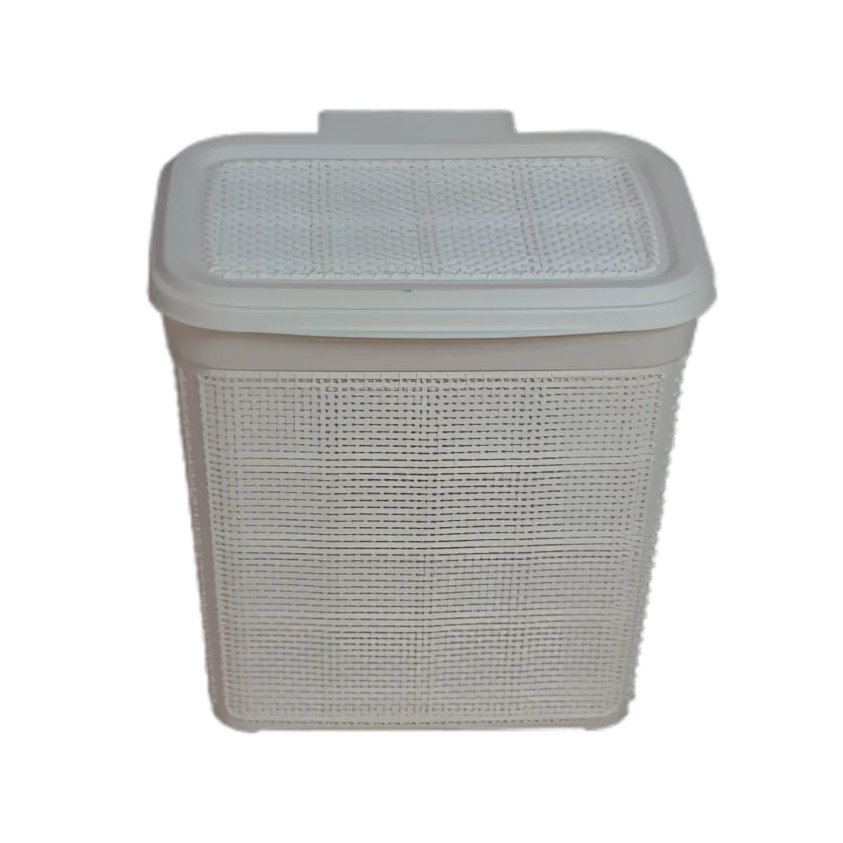 CORBEILLE A LINGE VICTORIA