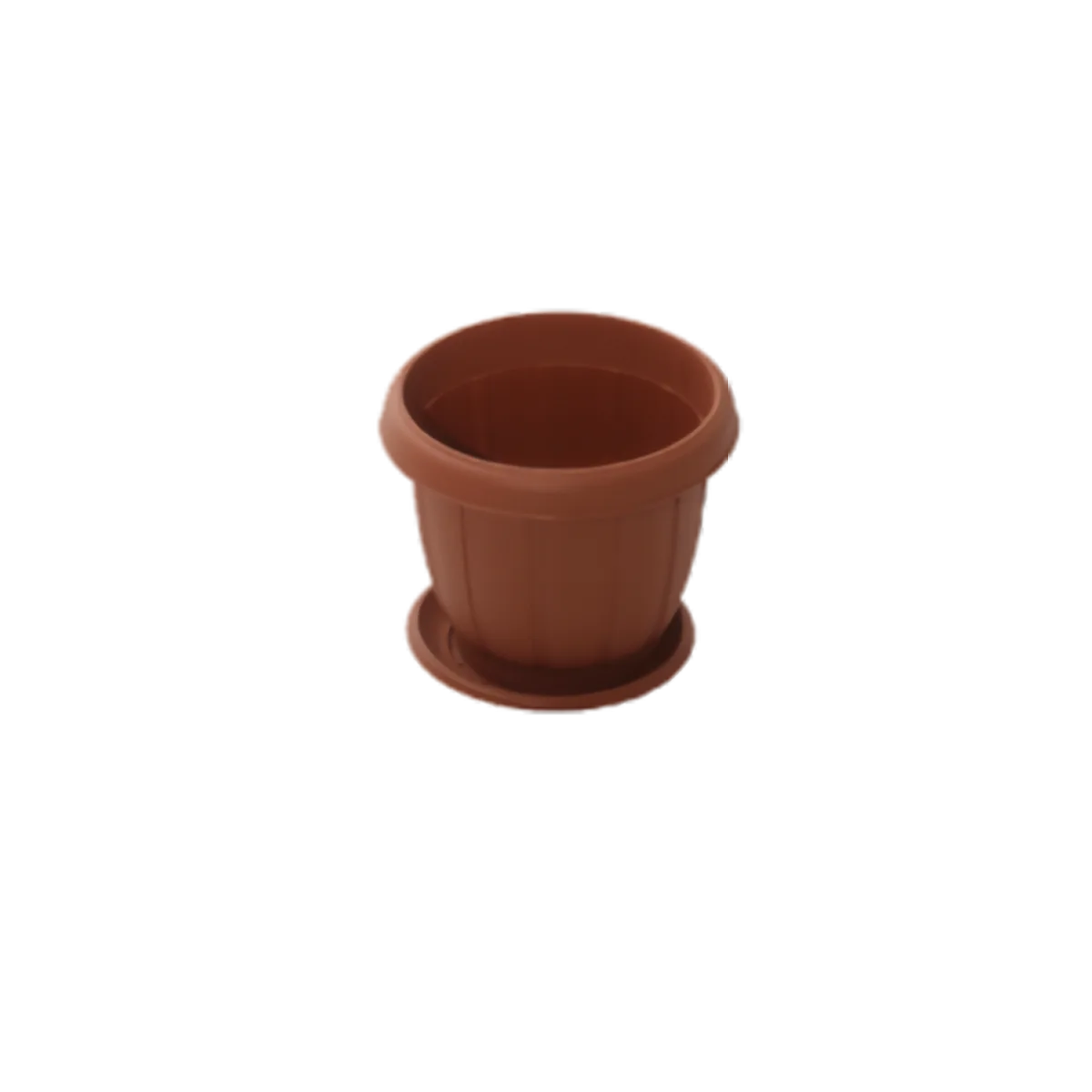 POT+ PLATEAU A FLEUR NARCISSE REF 23