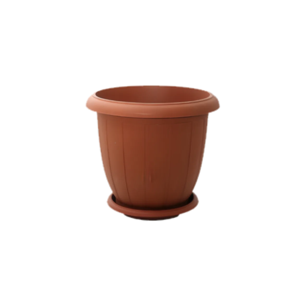 POT+ PLATEAU A FLEUR NARCISSE REF 30
